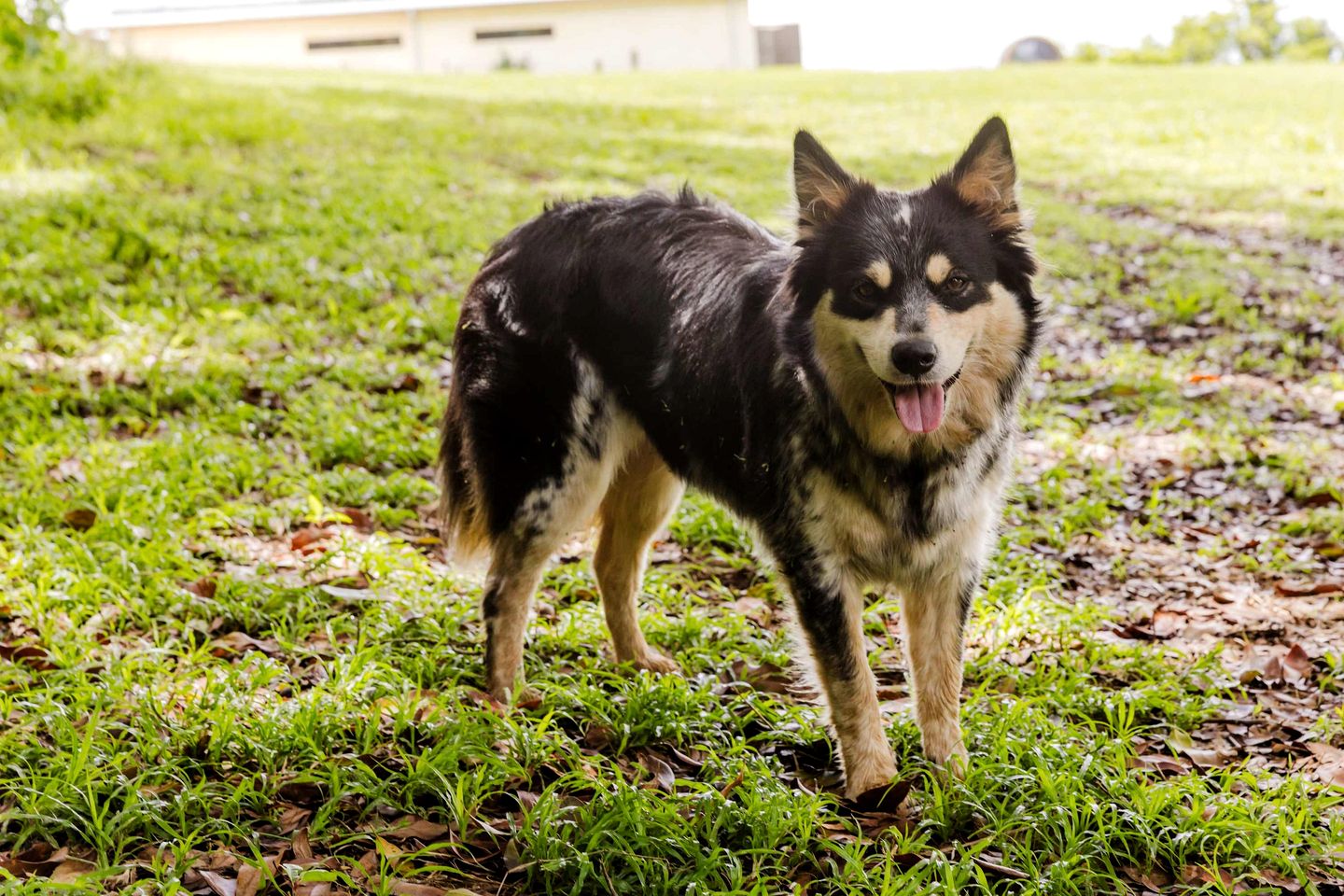 Peaceful Tiny House with Great Sights in Eureka, New South Wales