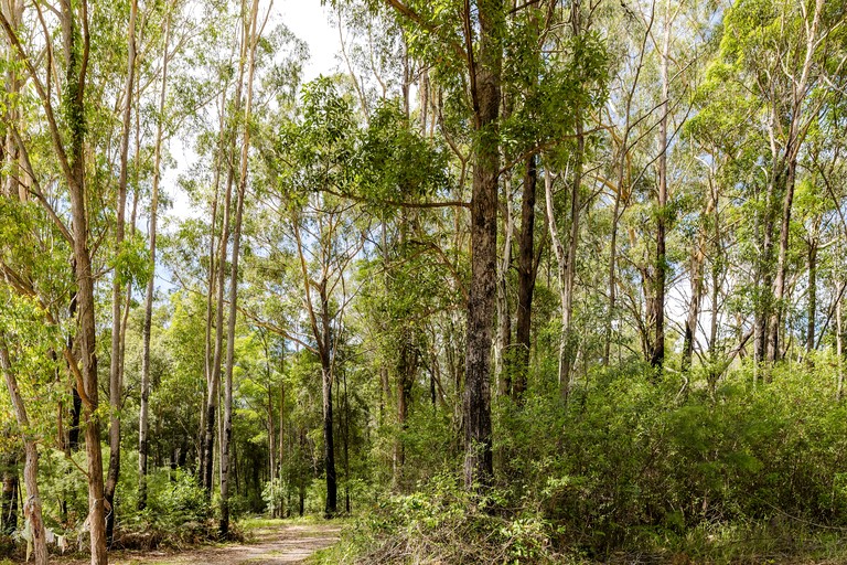 Tiny Houses (Australia, Ashby Heights, New South Wales)
