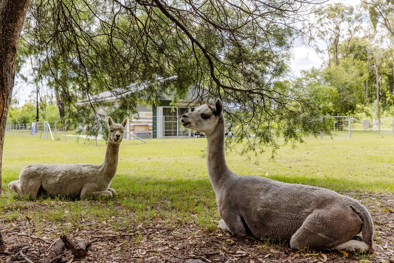 Tiny Houses (Australia, Ashby Heights, New South Wales)