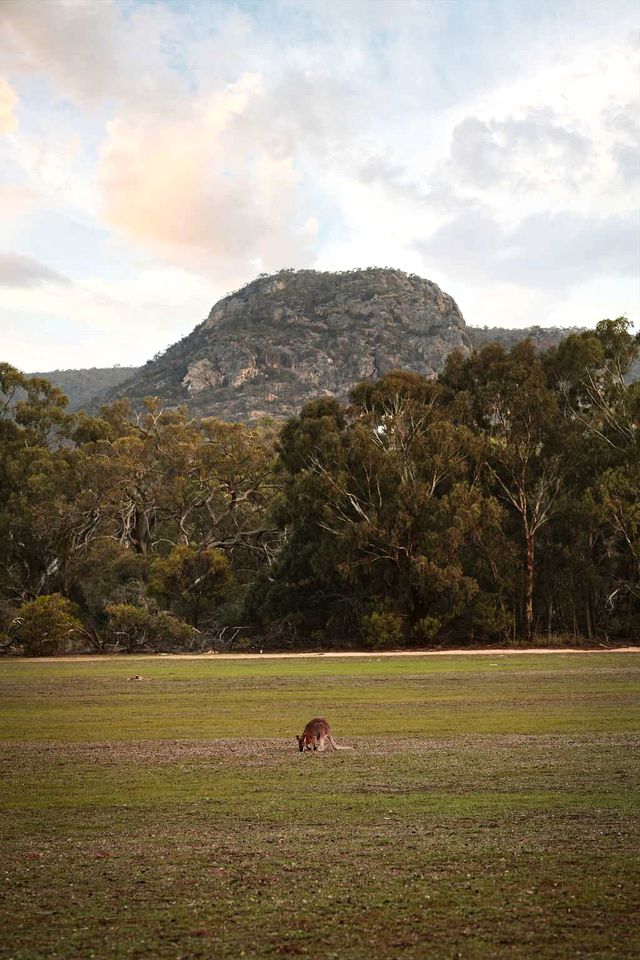 Peaceful Tiny House Retreat with Fire Pit and Landscape Views in Victoria