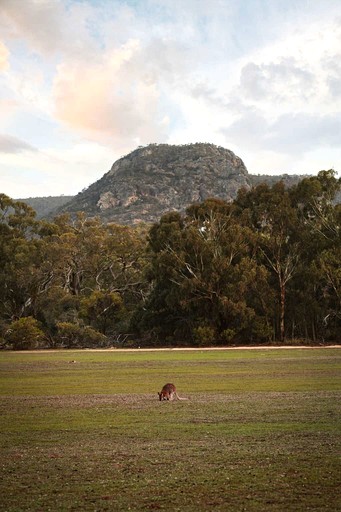 Tiny Houses (Australia, Laharum, Victoria)
