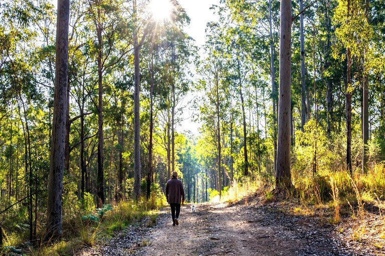 Tiny Houses (Australia, Glenreagh, New South Wales)