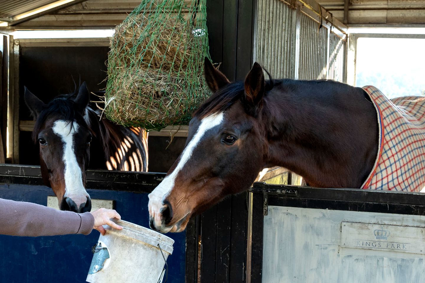 Peaceful Tiny House Retreat with Stunning Views and Wildlife in New South Wales, Australia