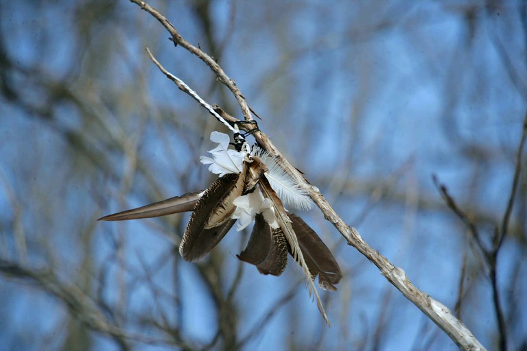 Tipis (Park Hills, Missouri, United States)