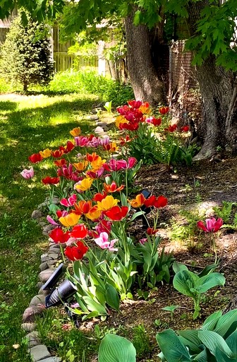 Vacation Rentals (United States of America, Margaretville, New York)