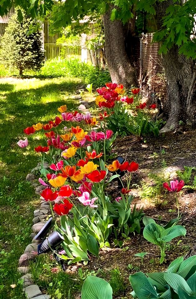 Peaceful Village Retreat with Fireplace, Deck Dining & Mountain Sunsets in Margaretville, New York