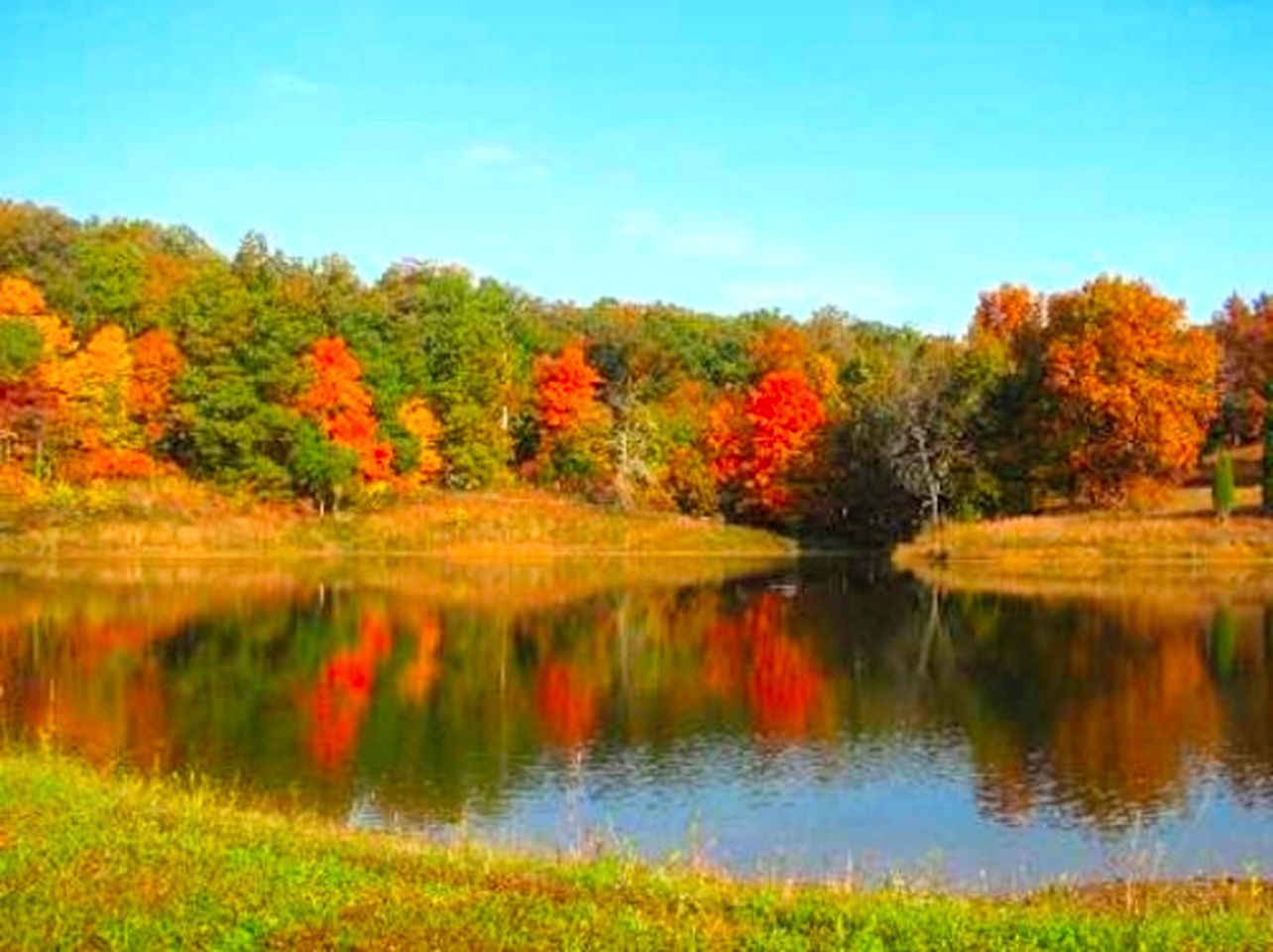 Luxury Yurts for a Unique Camping Experience in Bristow, Indiana