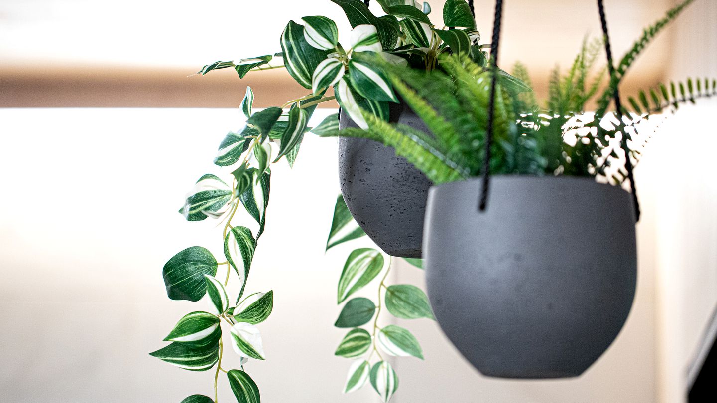 The Peak of Comfort and Adventure: Government Camp's Best Vacation Property