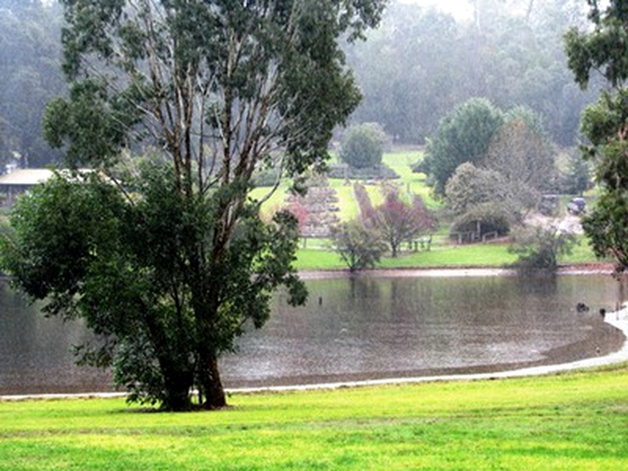 Family-Friendly Getaway on a Lake in Pemberton, Western Australia