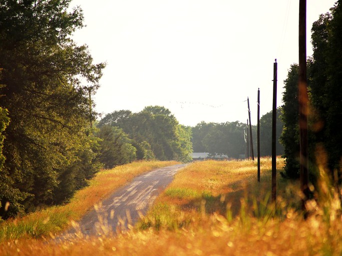 Nature Lodges (Quinlan, Texas, United States)