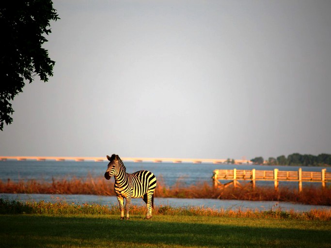 Nature Lodges (Quinlan, Texas, United States)