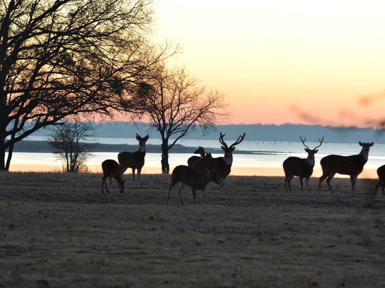 Beautiful Weekend Getaway on 500-Acre Ranch near Dallas, Texas