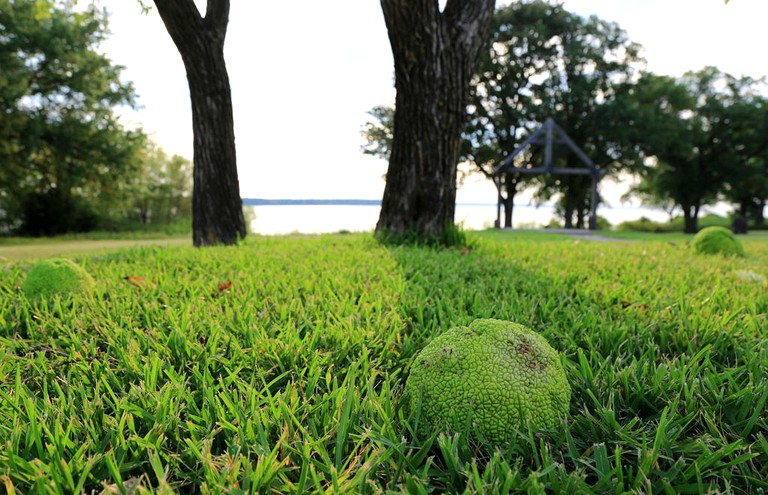 Nature Lodges (Quinlan, Texas, United States)