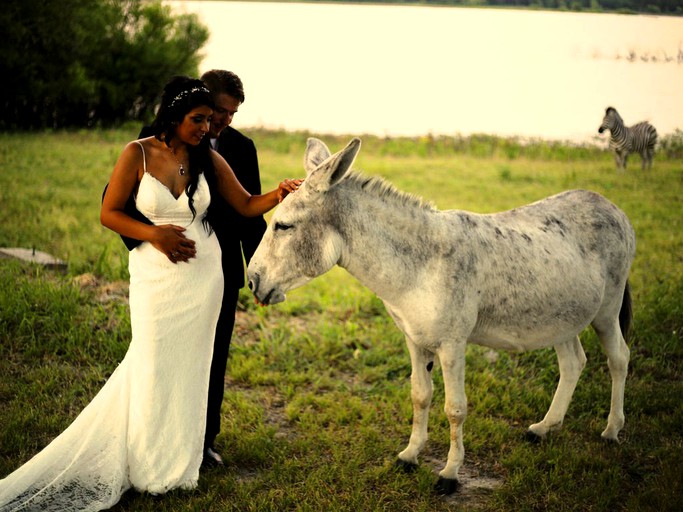 Nature Lodges (Quinlan, Texas, United States)