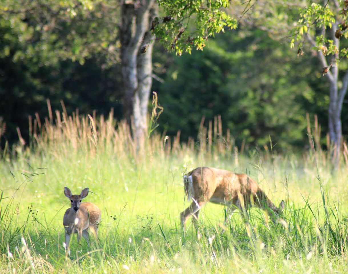 Rustic Vacation Getaway with a Private Balcony near Greenville, Texas