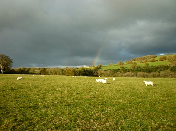 Pods (New Chapel, Wales, United Kingdom)