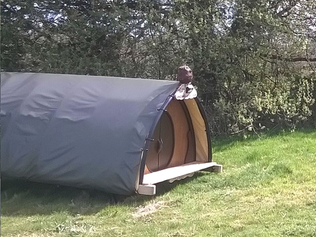 Romantic Pod with Roll Back Roof for Couples' Getaway in Pembrokeshire, Wales