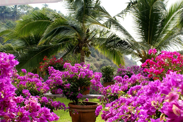 Huts (Manzanillo, Colima, Mexico)