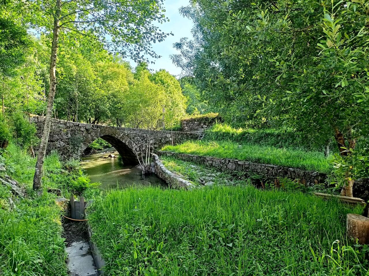 Pet-Friendly Tiny House with Beautiful Walks in Portugal