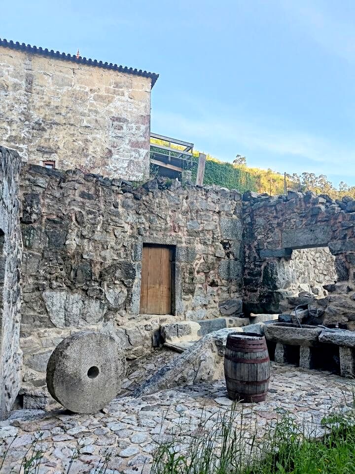 Pet-Friendly Tiny House with Beautiful Walks in Portugal