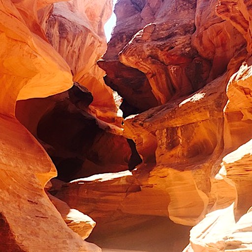 Vacation Rentals (United States of America, Page, Arizona)