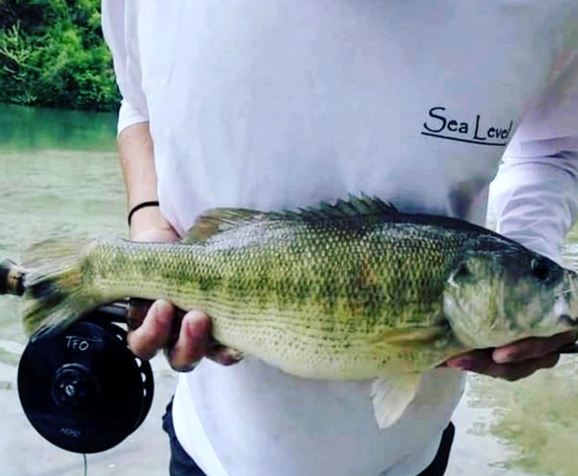 Perfect Glamping Getaway: A Stay in a Rustic Cabin by the San Marcos River near Kingsbury, Texas