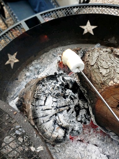 Log Cabins (United States of America, Kingsbury, Texas)