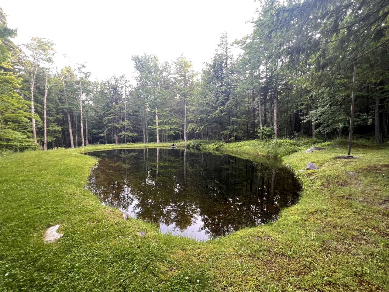 Fantastic Lakefront Wooden Cabin Settled Between Trees in Stratton, Vermont