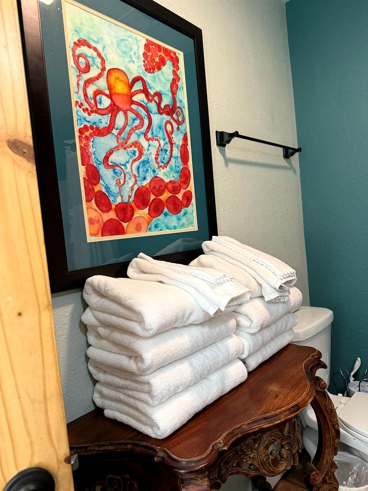 Pet Friendly Breathtaking Cottage with Great Views and Hot-tub in Rainbow, California