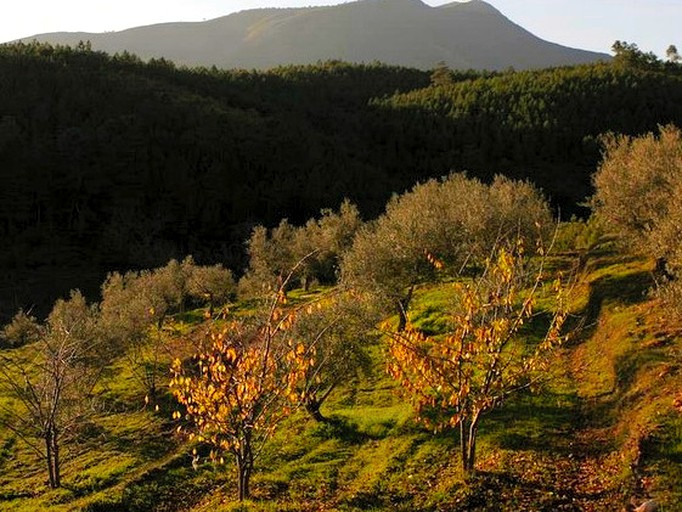 Vacation Rentals (Pinofranqueado, Extremadura, Spain)