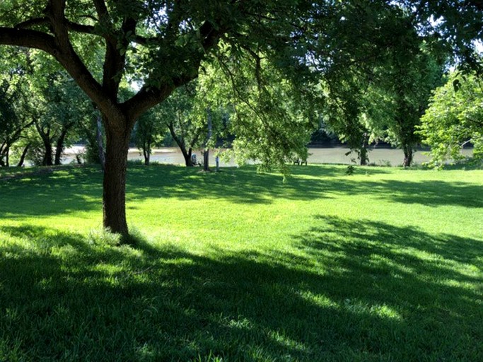 Cabins (United States of America, Bastrop , Texas)