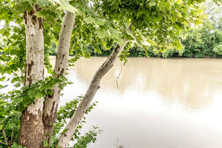 Cabins (United States of America, Bastrop , Texas)