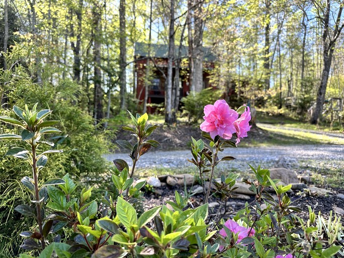 Cabins (United States of America, Blairsville, Georgia)