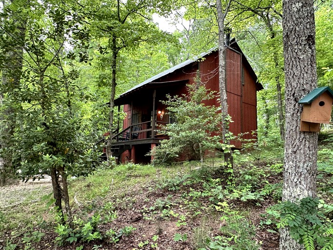 Cabins (United States of America, Blairsville, Georgia)