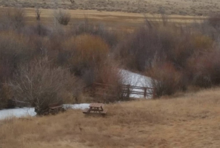 Cabins (Villa Grove, Colorado, United States)