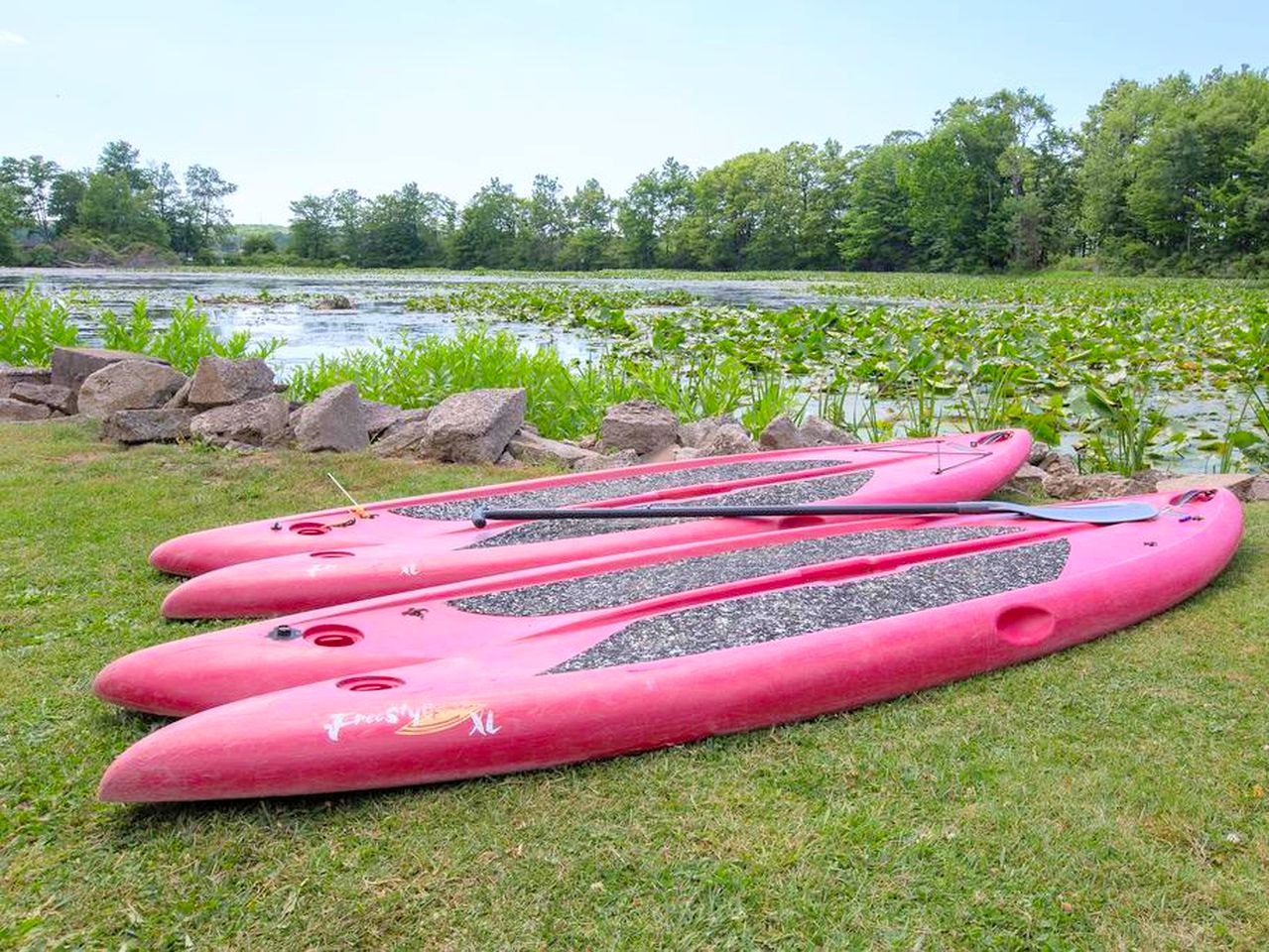 Edinboro Lake Resort Pet Friendly, Cabins, Edinboro, United States of