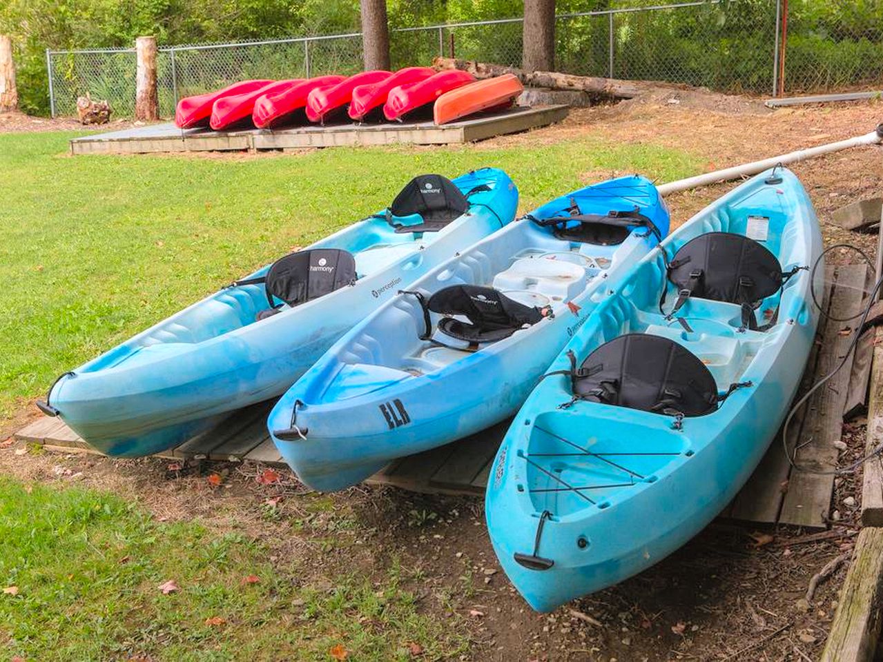 Edinboro Lake Resort Pet Friendly, Cabins, Edinboro, United States of