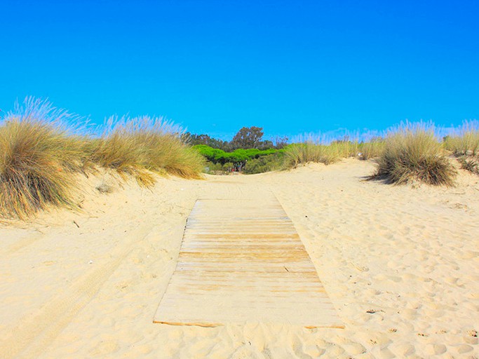 Cabins (Huelva, Andalusia, Spain)