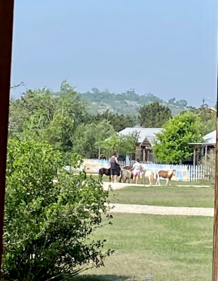 Pet-Friendly Cabin with Sweeping Views Overlooking Fredericksburg, Texas