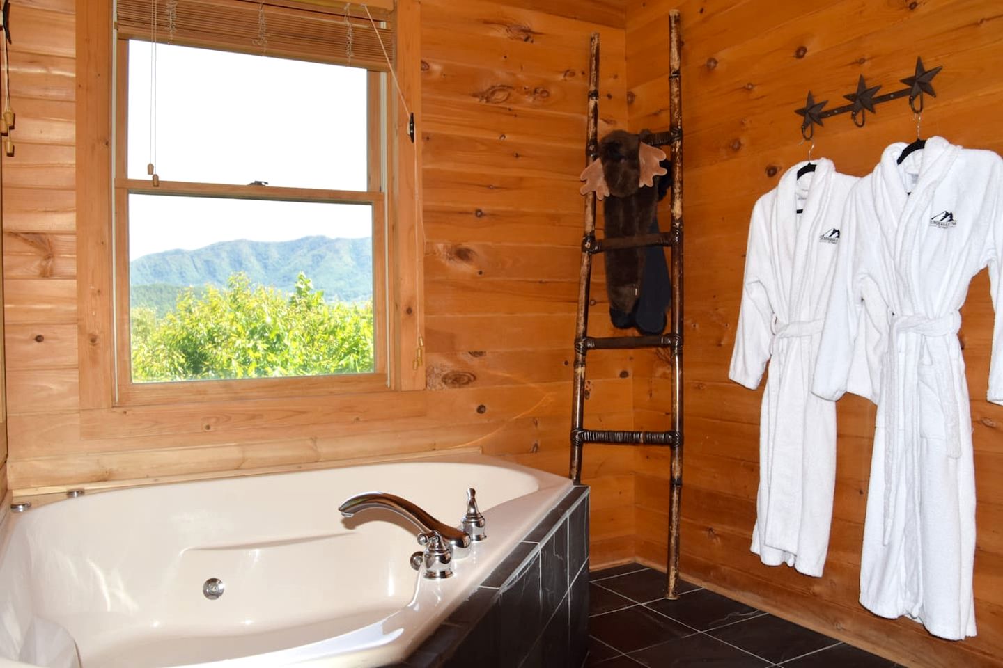 Pet-Friendly Cabin Near Great Smoky Mountains, Tennessee