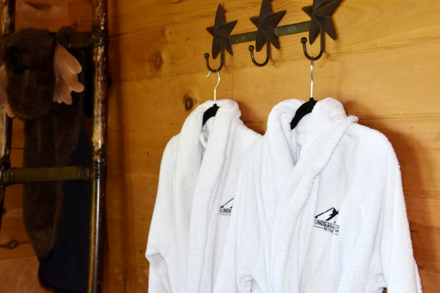 Pet-Friendly Cabin Near Great Smoky Mountains, Tennessee