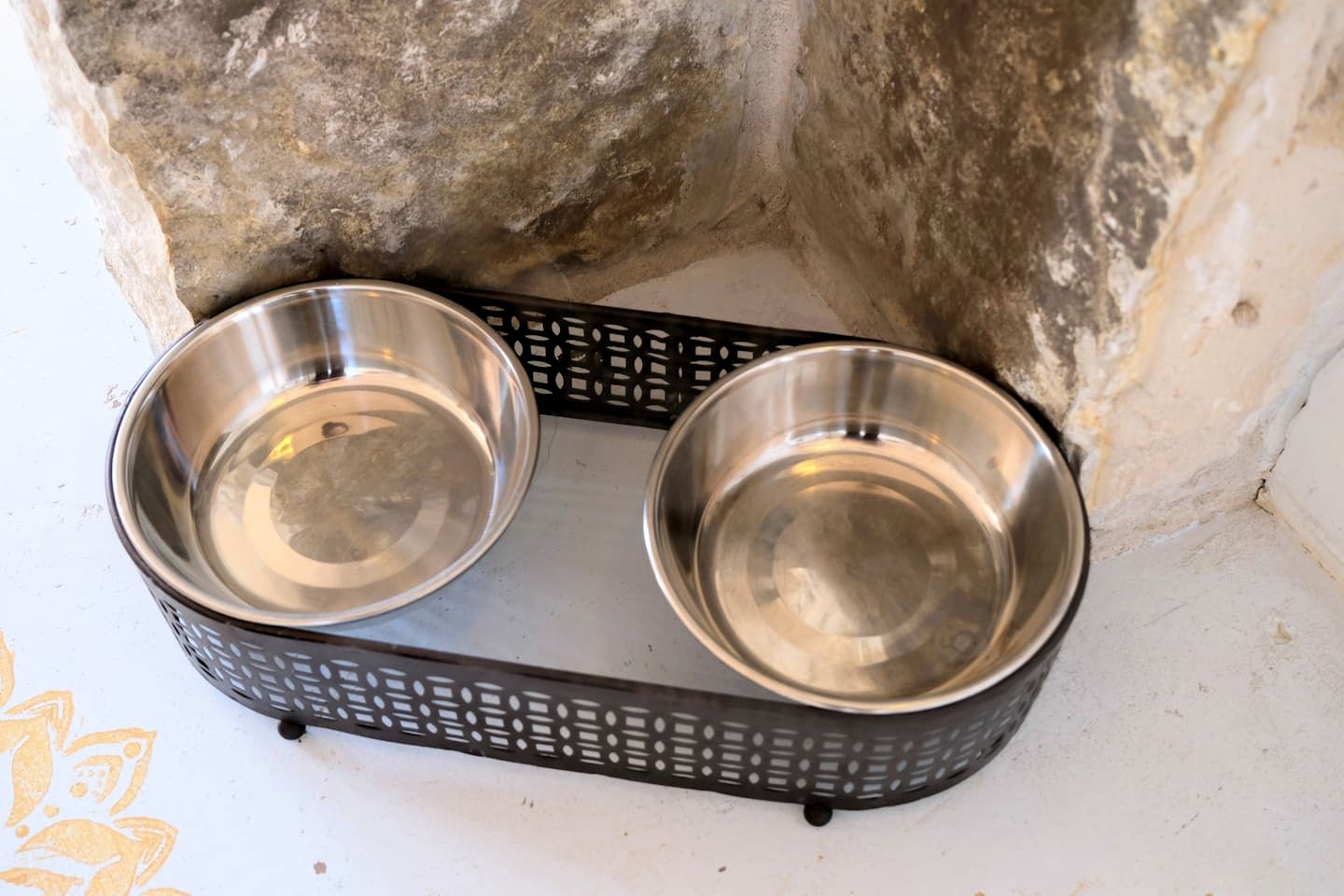 Pet-Friendly Canyon Lake Getaway Rental Ideal for a Texas Hill Country Retreat