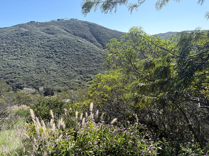Cottages (United States of America, Fallbrook, California)