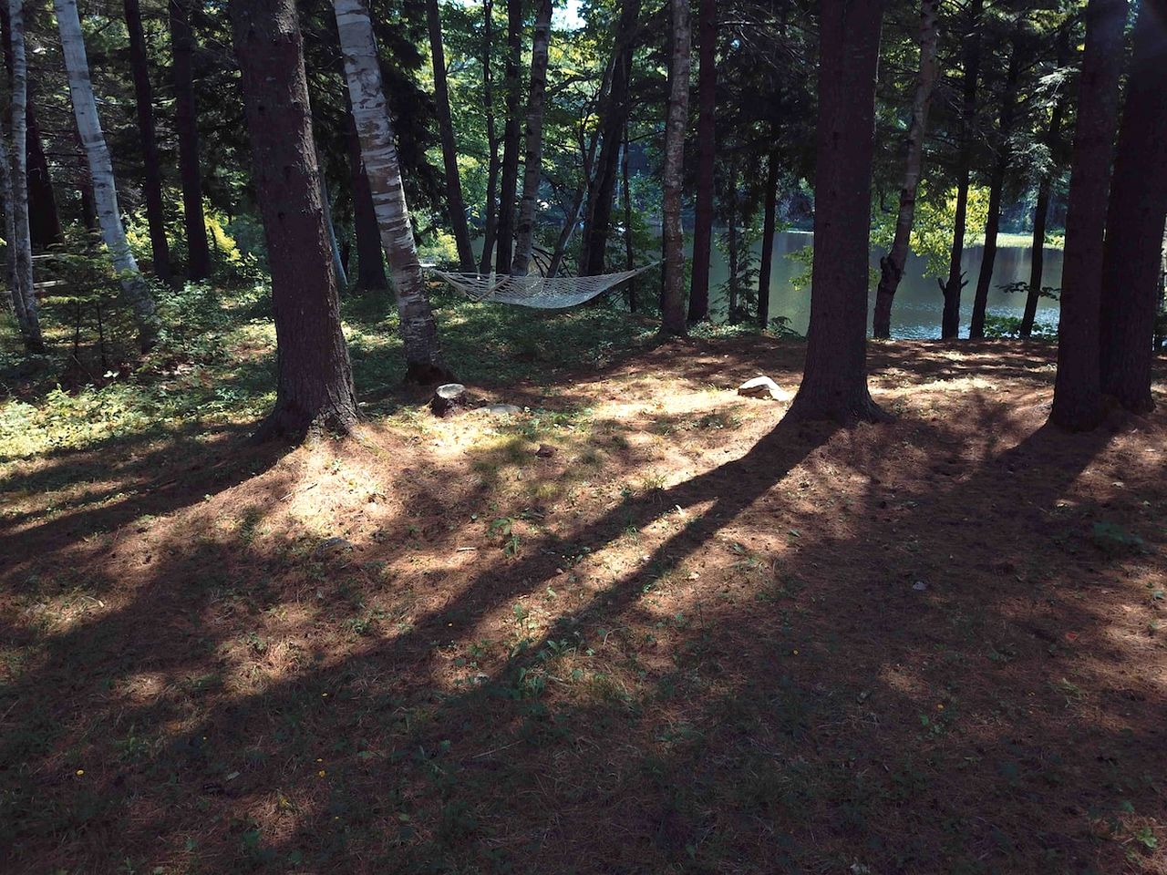 Pet-Friendly, Rustic Cottage with Access to Messalonskee Lake and Views of Belgrade Stream with Hot Tub in Maine
