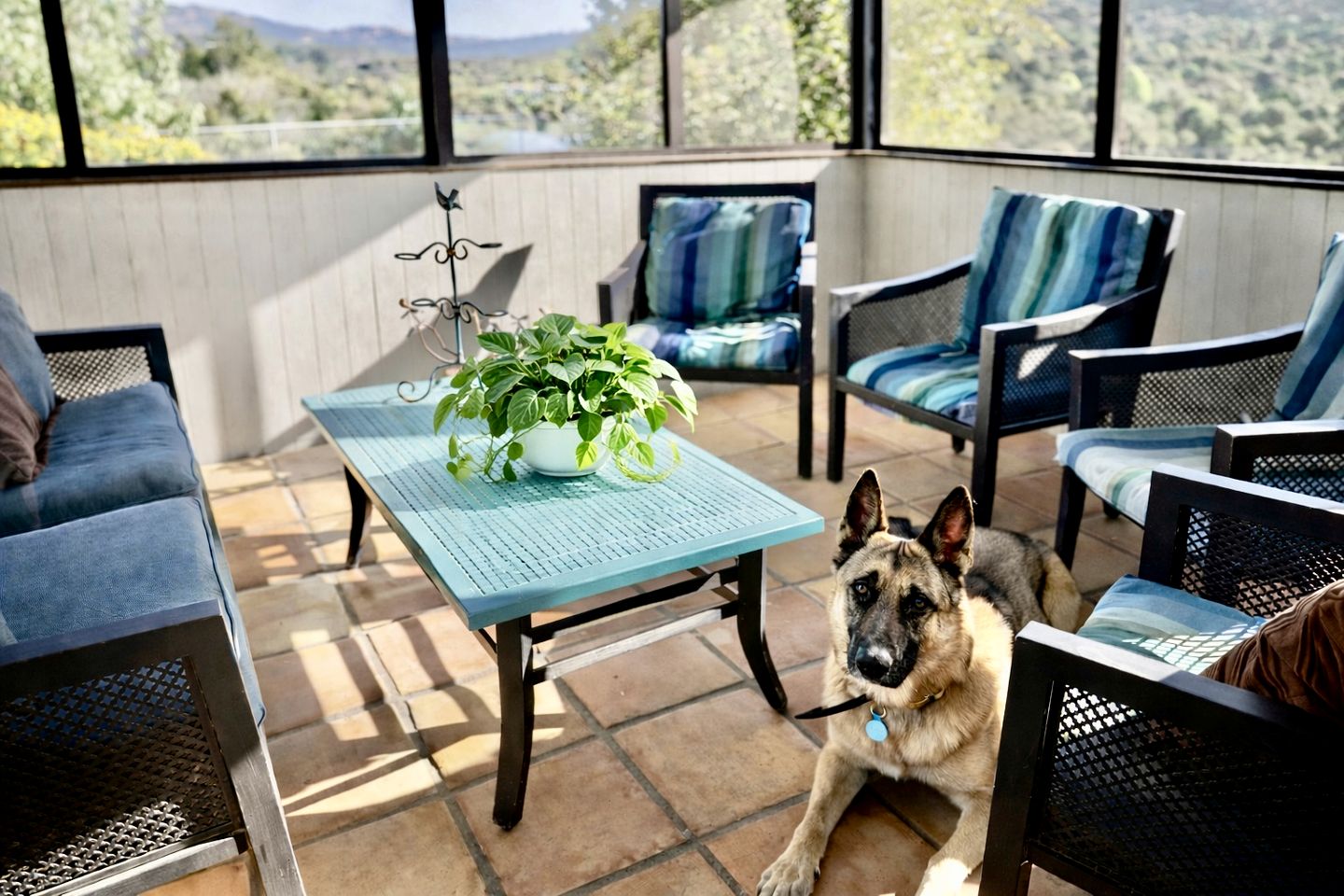 Pet Friendly Fantastic Secluded Cottage with Hot-tub in Rainbow, California