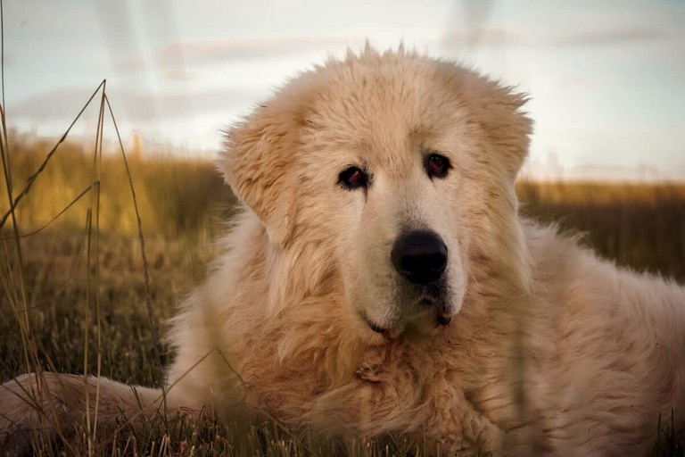 Tiny Houses (Australia, Smeaton, Victoria)