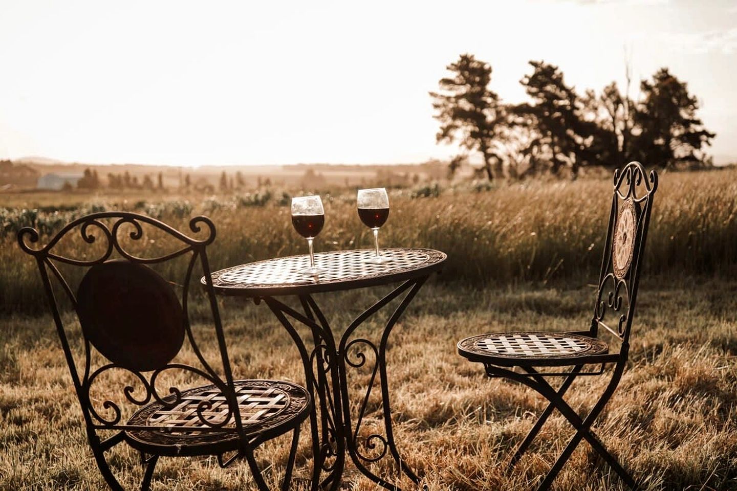 Pet Friendly Farm Stay Glamping in a Victoria Tiny Home