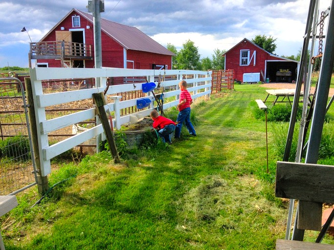 Barns (Eustis, Nebraska, United States)