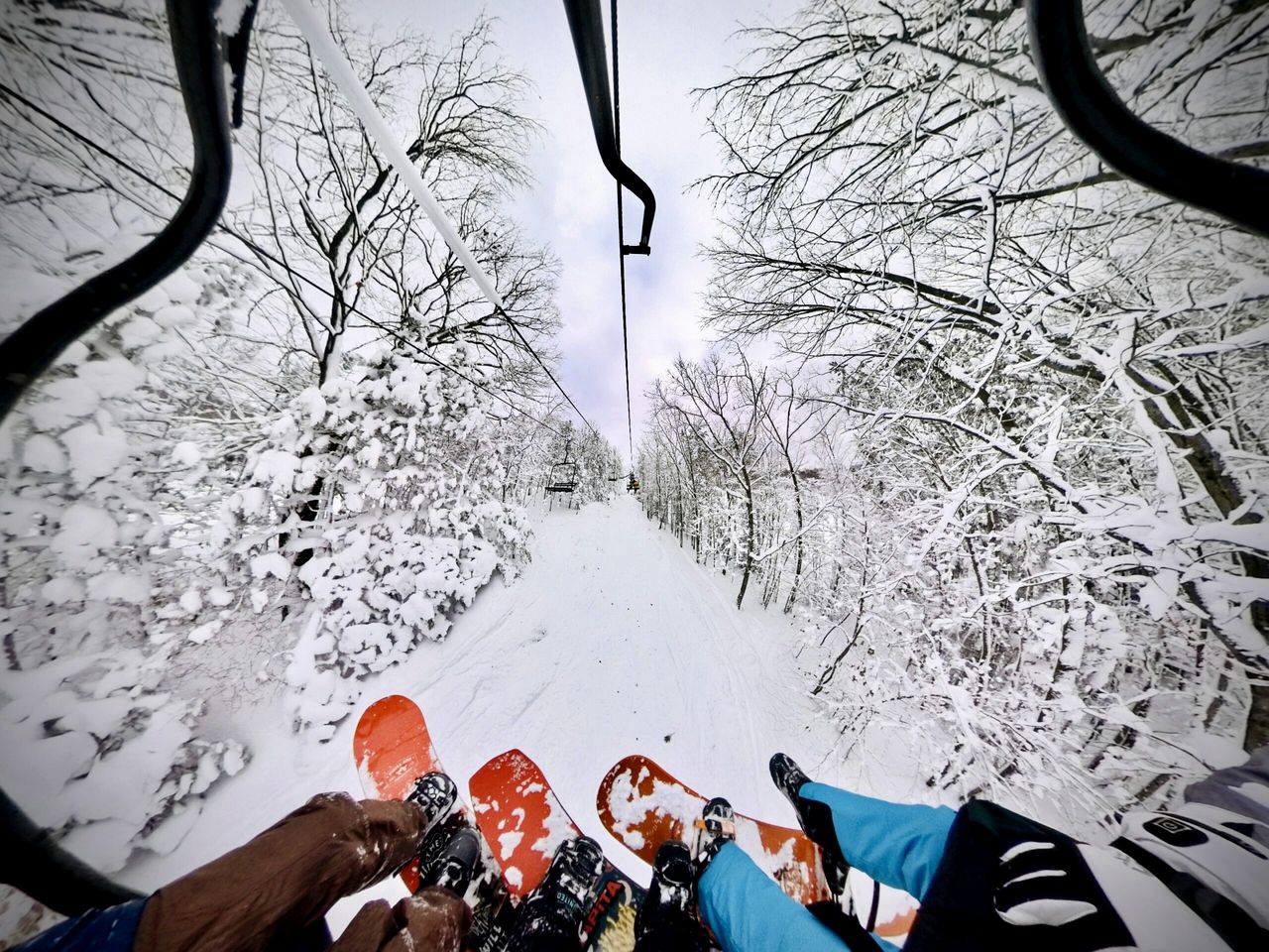 Peaceful and Pet-Friendly Lake Mitchell Cabin For an Exciting Escape by the Heart of the Manistee National Forest, Michigan