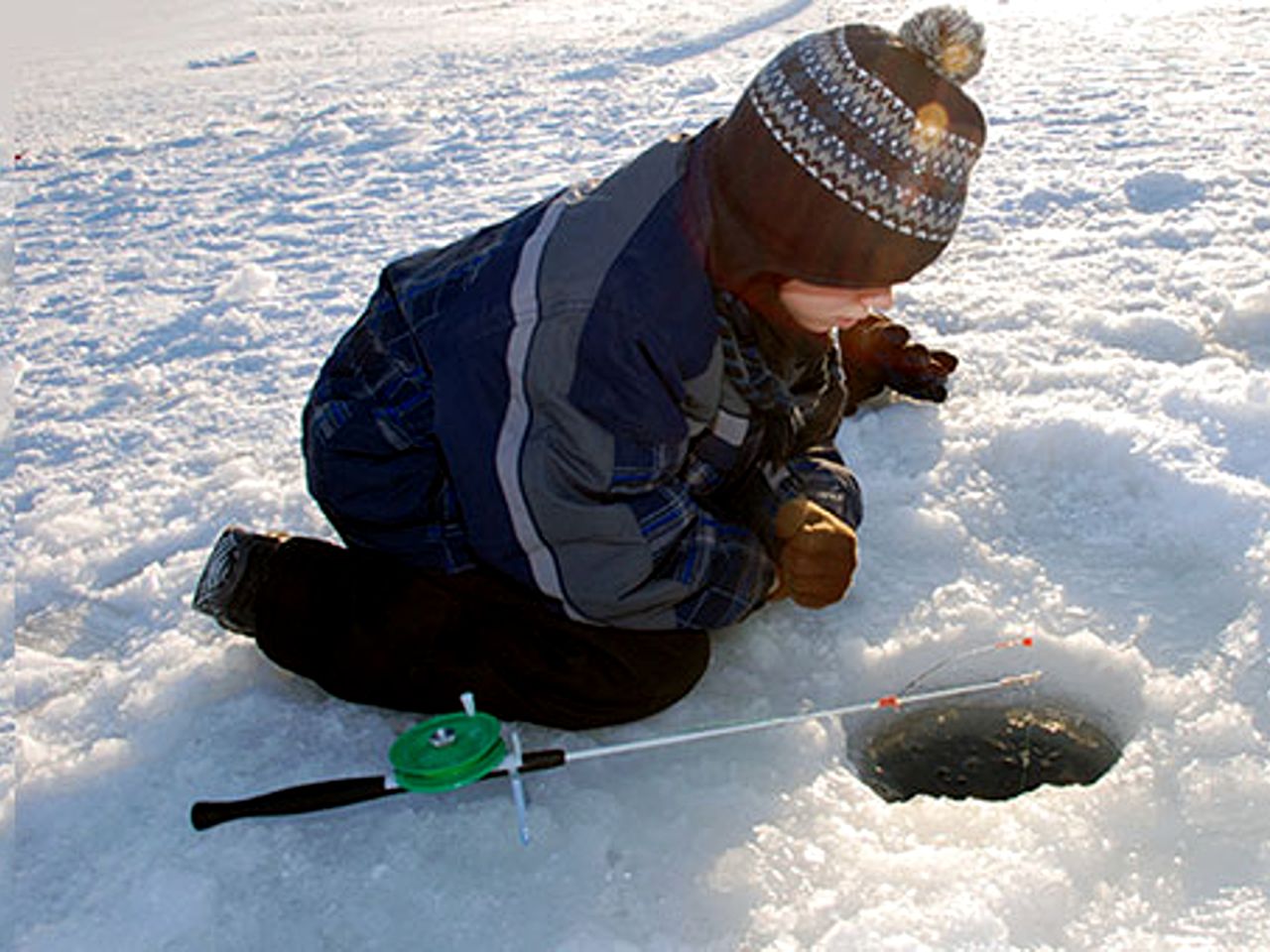 Peaceful and Pet-Friendly Lake Mitchell Cabin For an Exciting Escape by the Heart of the Manistee National Forest, Michigan